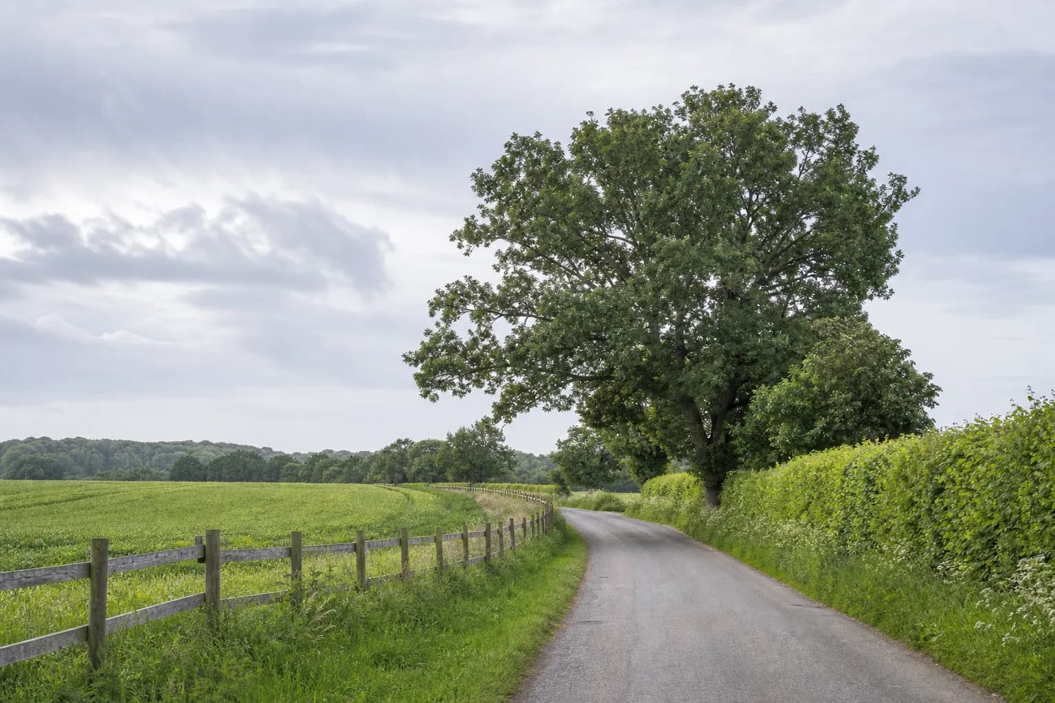 Country lane beside a well-kept field boundary in Hampshire