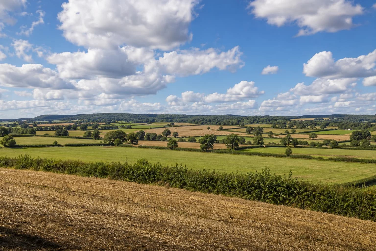 Open Hampshire farmland with hedgerows and cleared fields